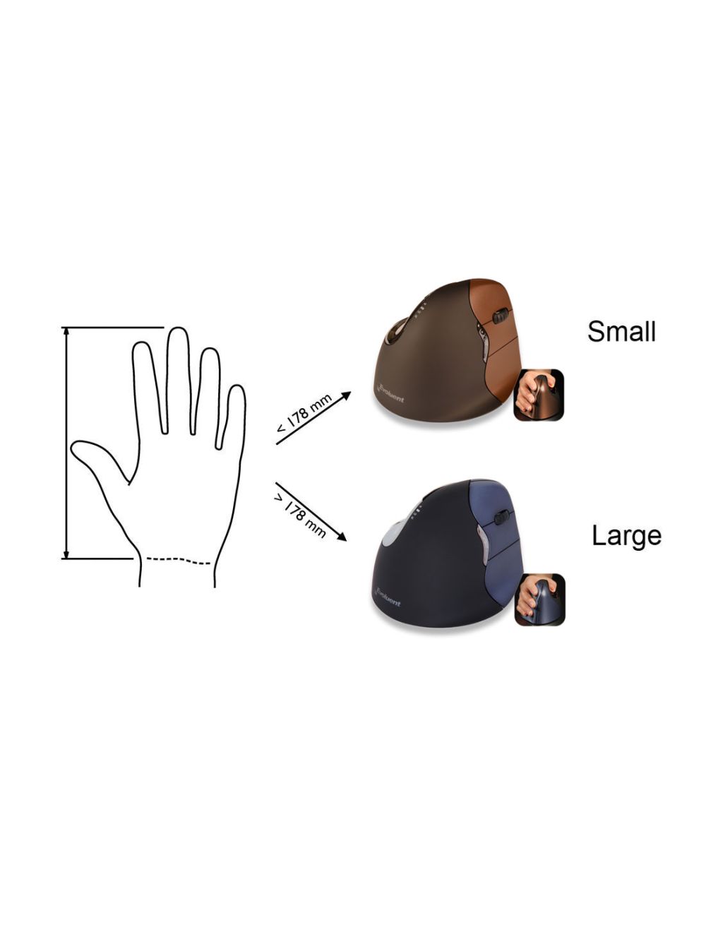 Evoluent VerticalMouse 4 Derecho Inalámbrico