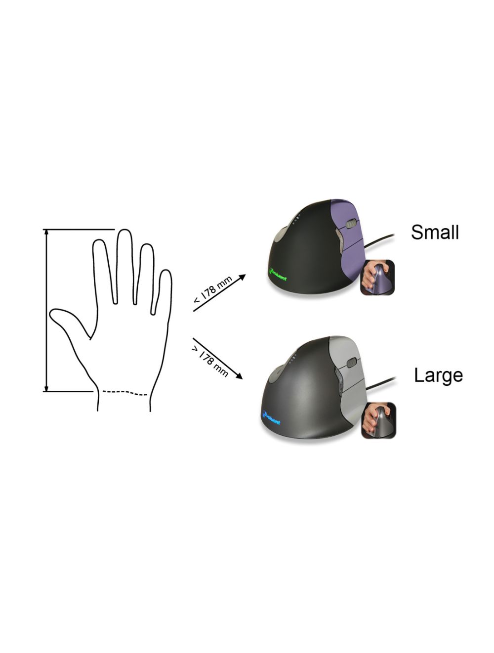 Evoluent VerticalMouse 4 Derecho